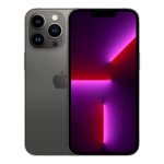 iPhone 13 Pro Max - gray