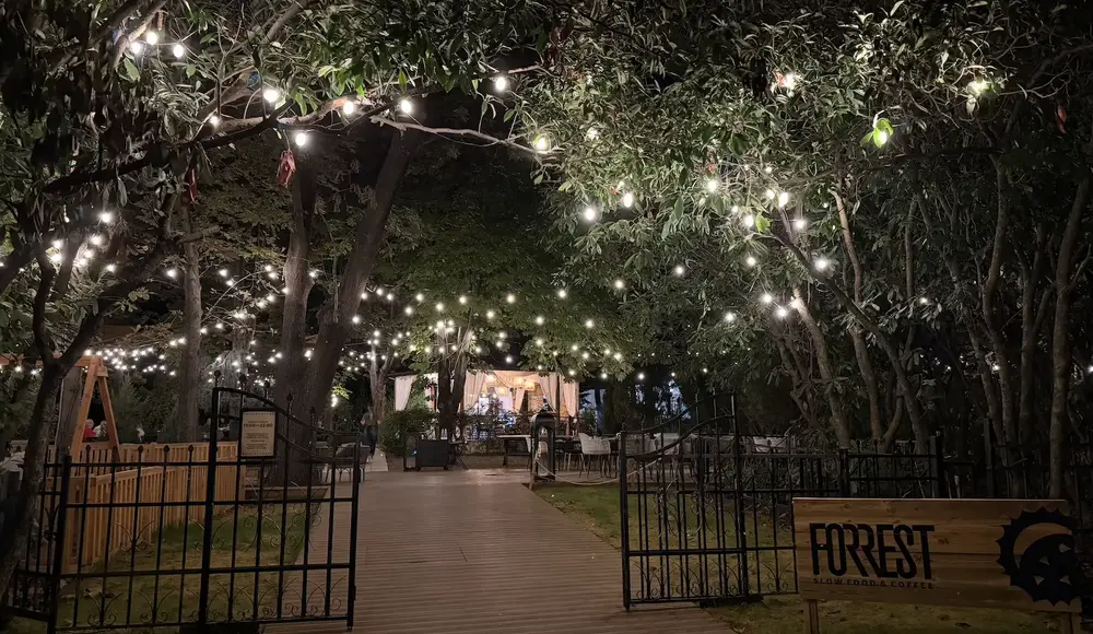 جزئیات در نور کم آیفون ۱۷ درومکس