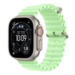 Apple Watch Ultra 3 Natural Titanium Case with Ocean Band (1)